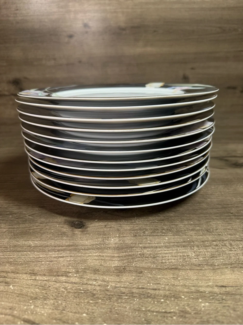 Mikasa Charisma Black L9050 Fine China Dinner Plates Set of 12